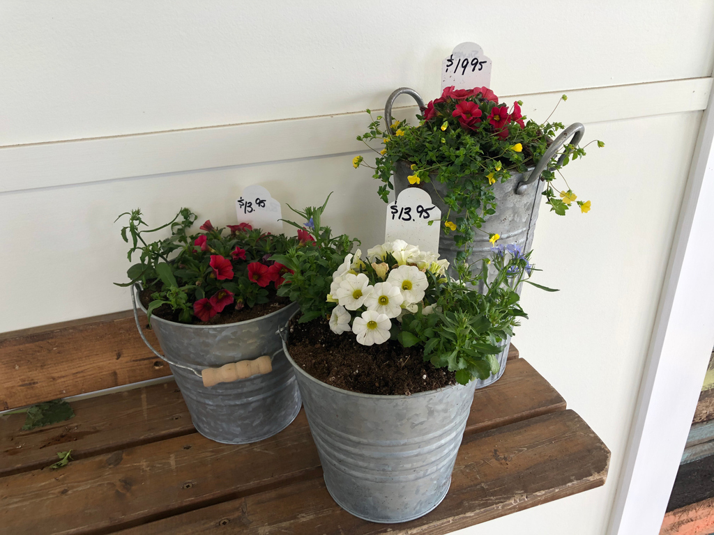 Planters don't have to be JUST outdoors! 

How adorable are these planters? We have a collection of a pre made planters inside our greenhouses! 

Who has an addiction with tin planters his year? 👋🏽
Yeah, me too!!

#YegFlowers #Yeggers #YegGreenhouses