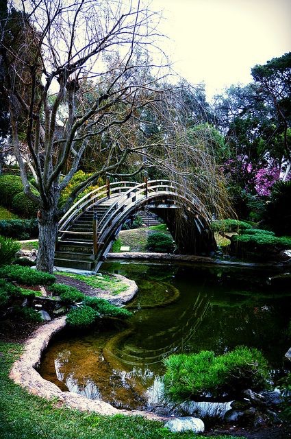 nancyhovde's tweet image. Believing you can and will accomplish your goal is the most powerful motivator you can have.
#Inspiration #Motivation #Goal #Empowerment #Mindset #PositiveChange #Achieve #Believe