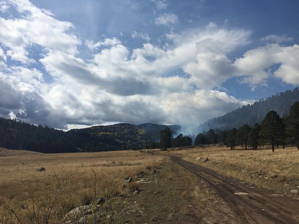 MooreCharitable's tweet photo. Proud to support @forestguild's Forest Youth Corps program &amp; Fire Adapted NM Learning Network. Thank you for building wildfire resilience &amp; creating opportunities in natural resource management in challenging times. #theworkcontinues #conservationcontinues https://t.co/K0wqYroNb3 https://t.co/5DamnpFj1T