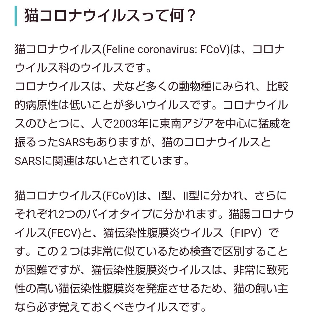 hiro3330033's tweet photo. 【犬・猫が元々保有しているコロナは、人間界で流行っている新型コロナとは種類が異なります】人間⇔動物は種類が異なるコロナなので感染しません。動物病院の先生にも確認済です。それなのに無知な東京大学が実験用に猫にコロナを。許せません！虐待です！犠牲になった猫の身になって下さい！命です！ https://t.co/x3xNVeffdM