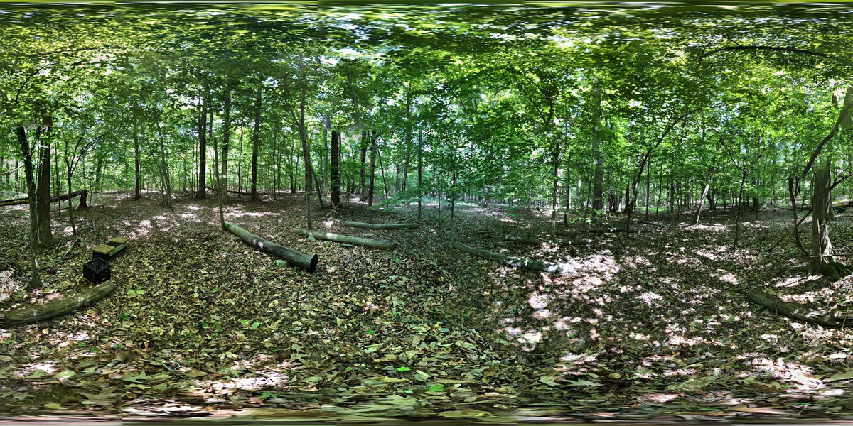 RedRidge_NC's tweet photo. We’ve got something new up our sleeve folks! We promise that there’ll be more updates coming soon, but for now, enjoy this 360 photo of #TheOutdoorClassroomatRedRidge! 🌳 #RRNCEducate #RRNCCampus #InterpTech #NatureatHome https://t.co/mmIgwKL3WL