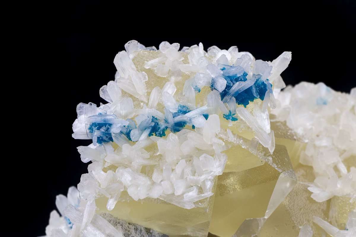 MineralsSuperb's tweet photo. No one said it better than @studiomineralia: This is a collection in itself. Honey calcite crystals coated in cavansite and white stilbite blades on snowy chalcedony.

Dimensions: 18cm x 13cm x 11.5cm
Weight: 2.91lbs
Origin: Pune, Maharashtra, India (2019)

DM for details! https://t.co/bjxZKNYO1I
