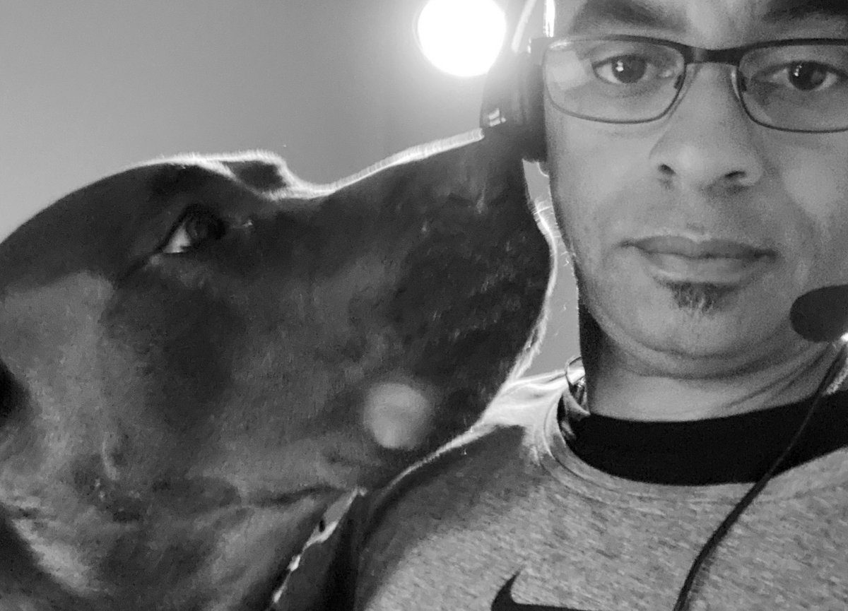 DrogoDane's tweet photo. Done working yet? Done working yet? Done working yet? #WFH https://t.co/ETYgMaYn7O