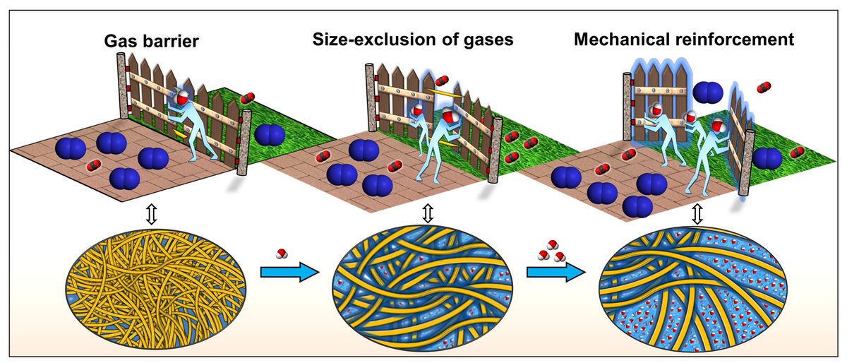 Our green solution for CO2 capture. Water does all the magic.  Humidity-responsive molecular gate-opening mechanism for gas separation in ultraselective nanocellulose/IL hybrid membranes with <a href="/NCStateEngr/">NC State Engineering</a> - at Green Chemistry <a href="/green_rsc/">Green Chemistry</a> pubs.rsc.org/en/content/art…