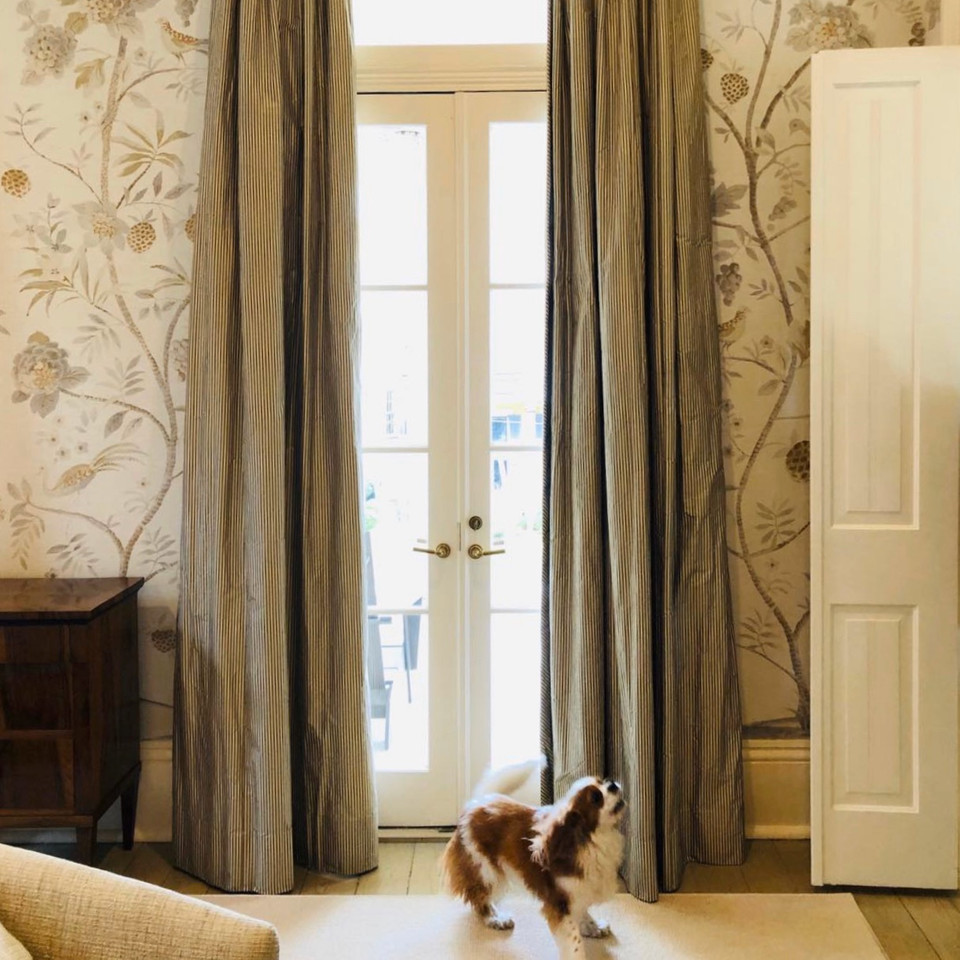 TheScoutGuide's tweet image. The perfect mix: pattern, texture, and a pup. Design and 📷: @melissarufty of @tsgneworleans #TheScoutGuide #designanddecor