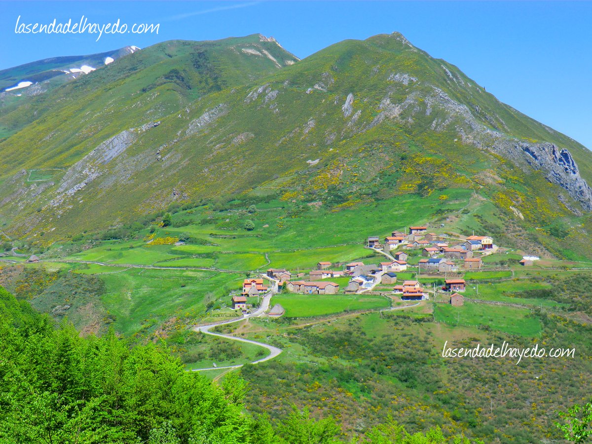 sendadelhayedo's tweet photo. ¿Quién no necesita un poco de #Somiedo estos días?

🍀Es el 1º parque natural de #Asturias desde 1988

🍀Su máxima altura es el Cornón (2.194 m)

🍀Oso pardo y águila real son parte de sus vecinos

🍀Es también Reserva de la Biosfera de la Unesco

🔗https://t.co/E556IQW2Mi https://t.co/5WvXQOWs1R