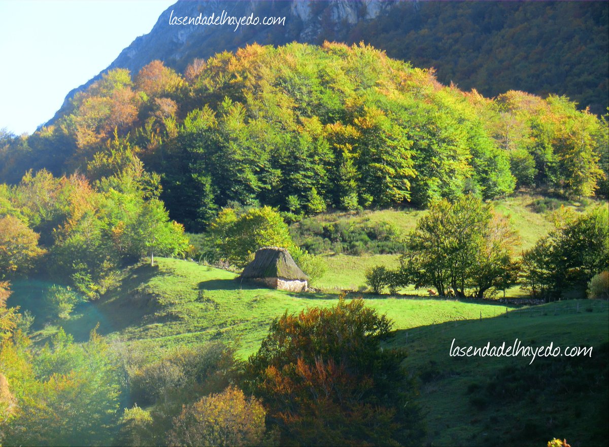 sendadelhayedo's tweet photo. ¿Quién no necesita un poco de #Somiedo estos días?

🍀Es el 1º parque natural de #Asturias desde 1988

🍀Su máxima altura es el Cornón (2.194 m)

🍀Oso pardo y águila real son parte de sus vecinos

🍀Es también Reserva de la Biosfera de la Unesco

🔗https://t.co/E556IQW2Mi https://t.co/5WvXQOWs1R