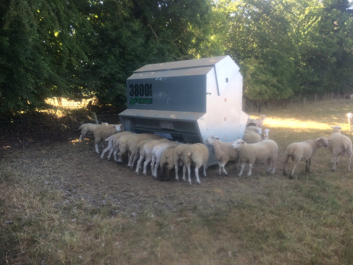 @IrelandsFarmers Great job got a few in 2018 drought and afraid we need them again now !,