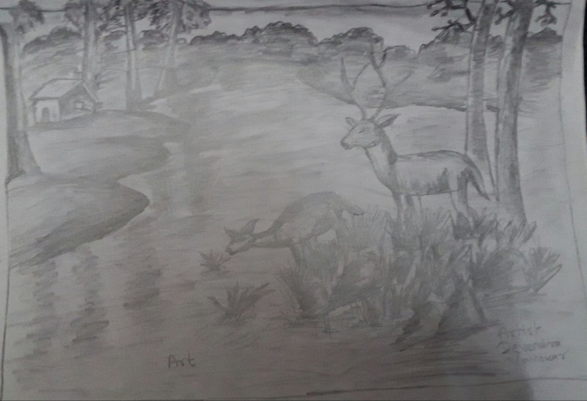 dev99559's tweet image. 