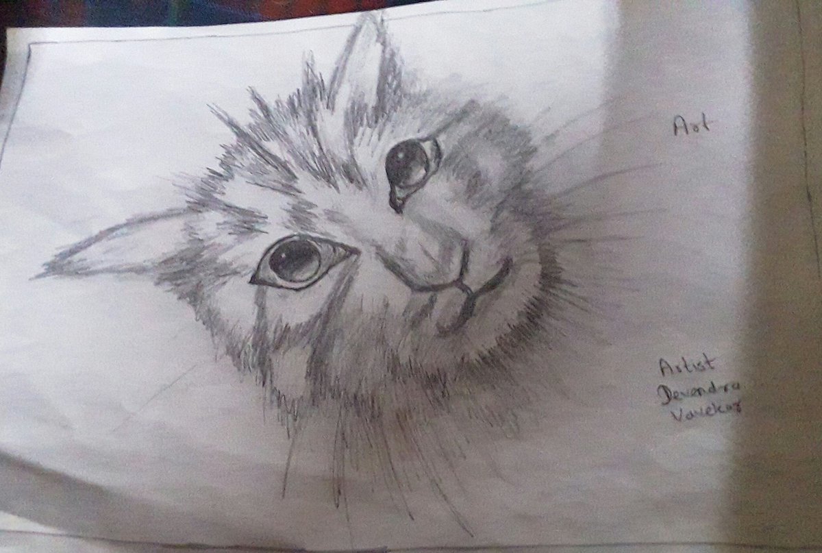 dev99559's tweet image. 