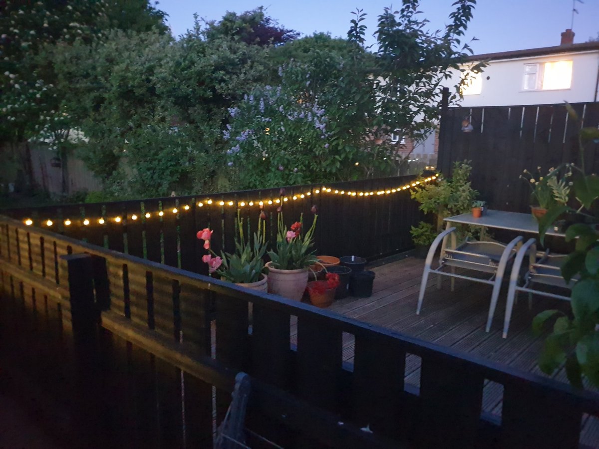 PelinaMoon's tweet photo. We put up some fairy lights last night. Not a bad start but definitely need more #urbangarden #homeallotment https://t.co/gbmgL5CF5Y