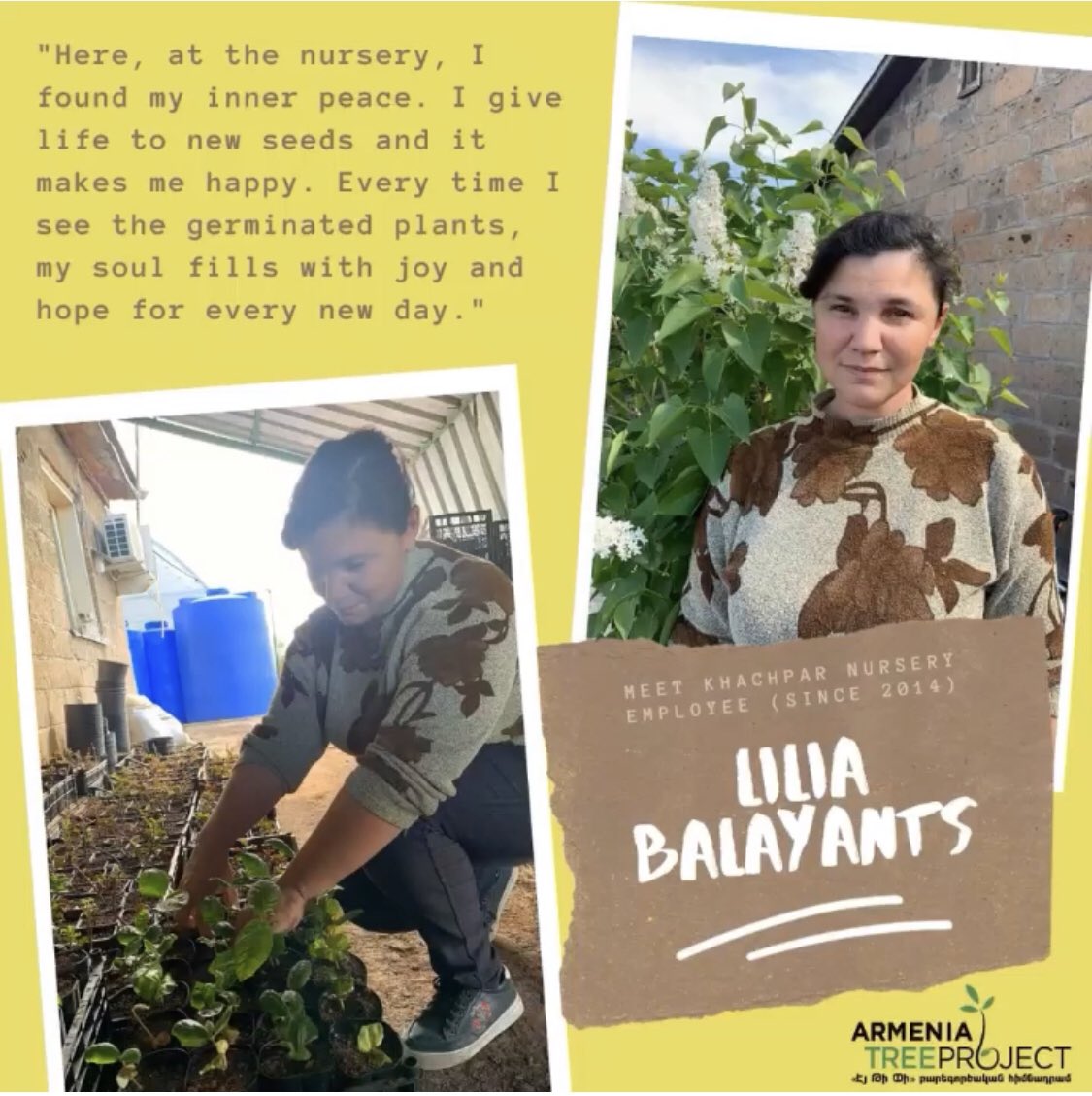 ArmeniaTree's tweet photo. Meet Khachpar Nursery employee since 2014, Lilia Balayants 🌱🇦🇲 #ArmeniaTreeProject #ArmeniaTree #Armenia #Tree https://t.co/WgvEJbmX8J