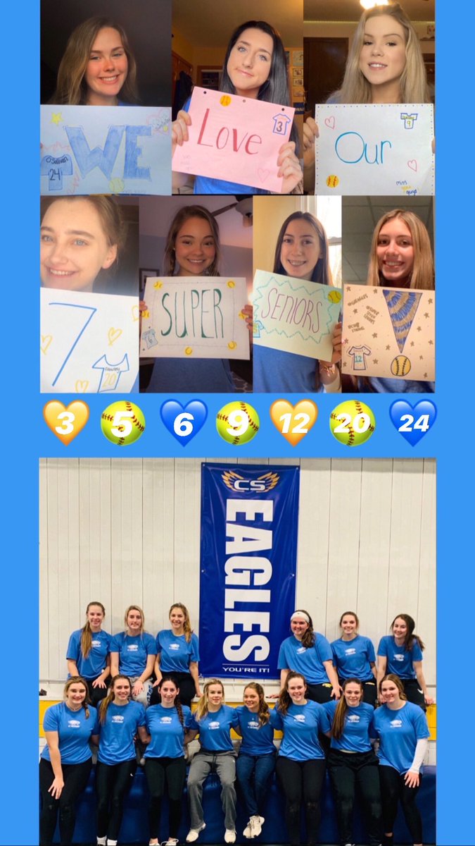 SandburgSftball's tweet photo. Sandburg Softball 2020 💙💛
#WeAreInThisTogether #urIT @EaglesAthletics @IHSAState https://t.co/8T7mAV1czi