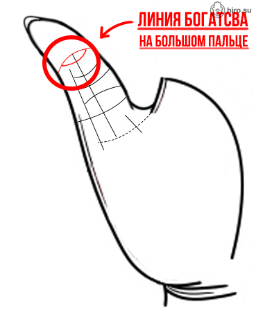 ChatsIost's tweet photo. Линия на большом пальце - хиромантия
https://t.co/utpDdxJRwM

#хиромантия #palmistry #palm_reading https://t.co/AGw6FcC9LE