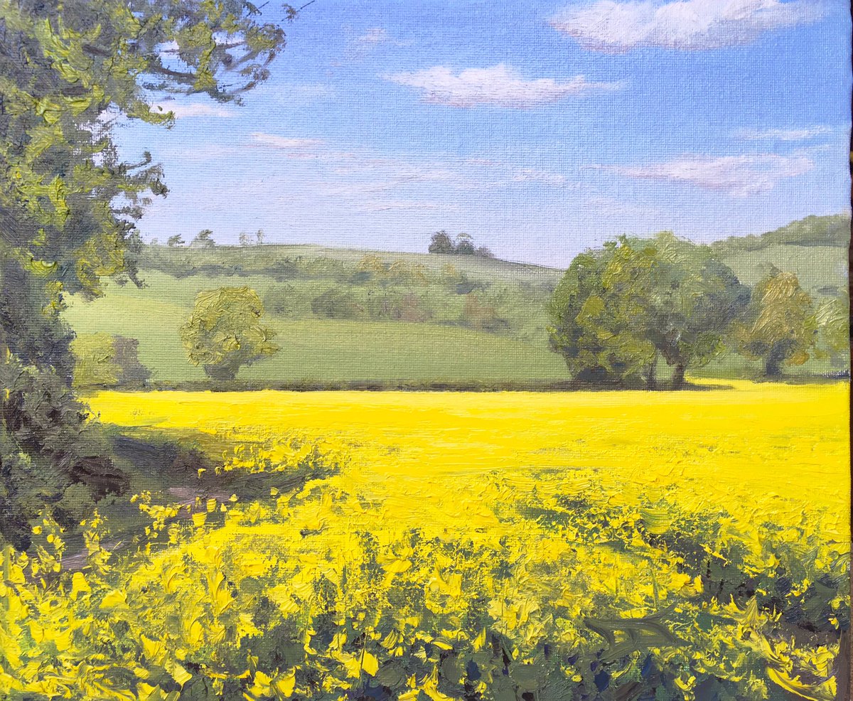 YELLOW!
Painting Rapeseed today over Kinver in glorious weather
artbydj.co.uk #pleinair #pleinairpainting <a href="/PegasusArtShop/">Pegasus Art Shop</a> <a href="/artistsnetwork/">Artists Network</a> <a href="/PleinAirMag/">PleinAir Magazine</a> <a href="/mhoilpaints/">Michael Harding</a> <a href="/AandImagazine/">Artists&Illustrators</a> @artpublishing <a href="/rosemaryandco/">Rosemary&Co</a> <a href="/JacksonsArtTalk/">Jackson's Art</a> #Rapeseed #oilpainting <a href="/The_SAA/">SAA - Supporting All Artists</a>