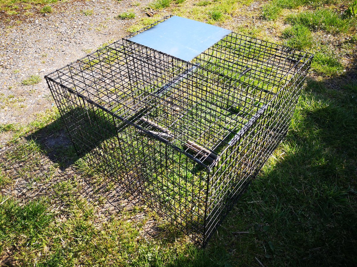 HandyTraps's tweet photo. A few pictures of some of the cage traps made here at handy traps https://t.co/Zark8RrVah