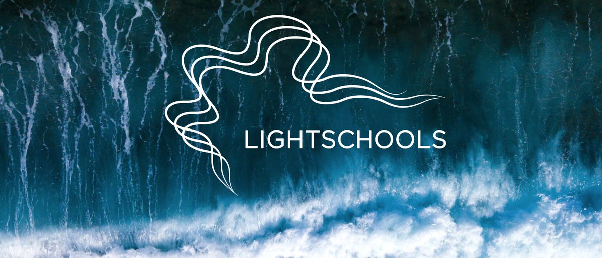 May 8 we will launch Lightschools during the 2-day online eduScrum international conference. We can't wait to share it with the world! The timing around COVID-19 is more than perfect. Are you curious how we can really create a bright new world together? Lightschools.org