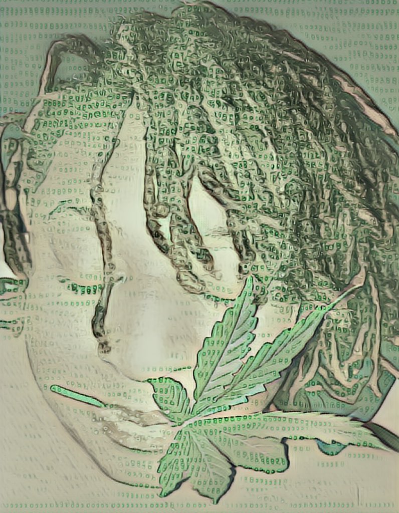 AffairSexy's tweet photo. CBD Type of day ☺️ #CBD #Prohibition #handmade #thc #shba #handmademovement #entrepreneur #womenentrepreneurs #healthylifestyle #beauty #healthybeauty #holistichealth #Cannabis #cbdlubricant #floral #fashion #inspiration #luxury #artwork #modern #love #cannibiscommunity https://t.co/yb07oBwI3W