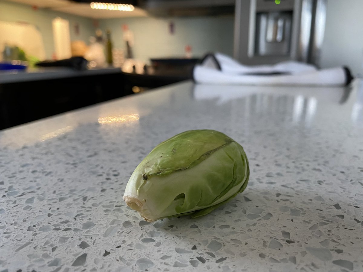 CatherineHarrop's tweet photo. Today I learned yet another #covidlesson A small one. Pay attention to the details in online grocery ordering. My order arrived with ONE brussell sprout. I was charged 59 cents.  It did, however, come in its own bag. #sorryearth https://t.co/LVzSo8FY9n