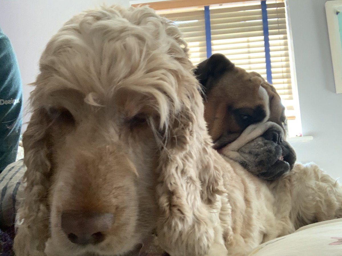 I know I moan about him but I love him really. He was sat and I laid down tucking my bum in front of his legs. He snuggled my back. Who would have thought he would have been my best buddy when that little wrinkly thing came home 2yrs ago?!