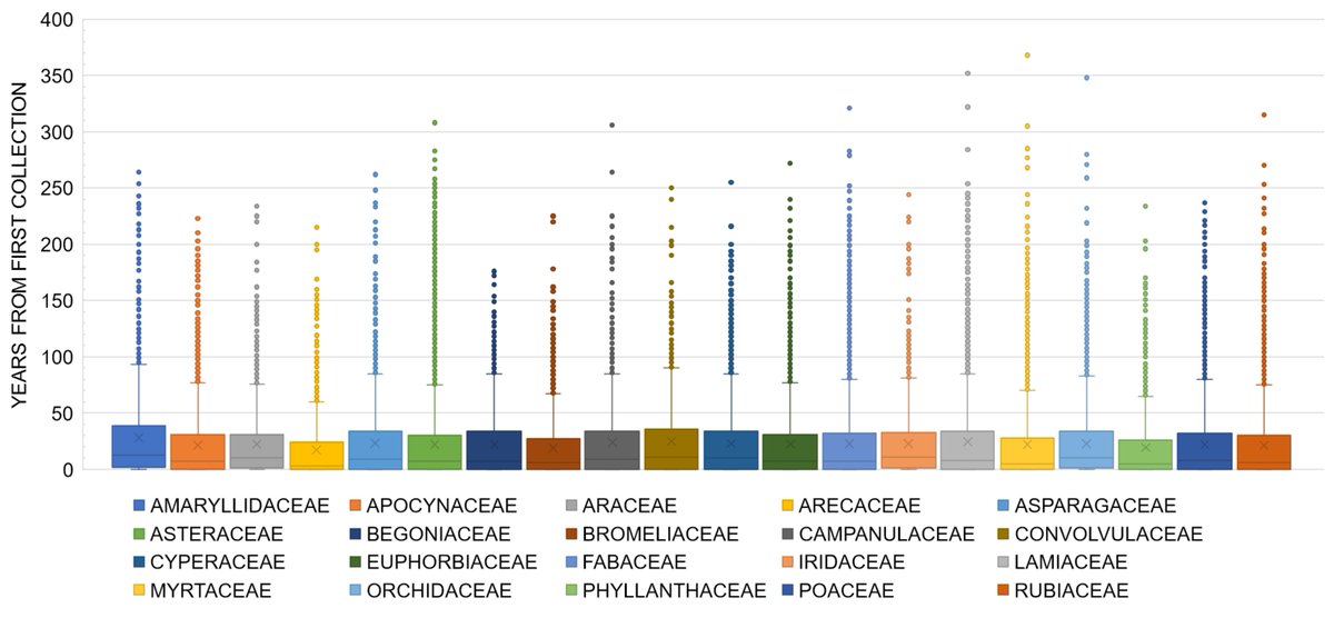 Is Aframomum weird? Well,  @pablomurod looked at other groups of plants, they show a similar time lag from the collection of the 1st to the 15th specimen (58-74 yrs). Plus the average # of specimens cited in the publication of a new species in  @KewBulletin over 40 yrs was 4.9.