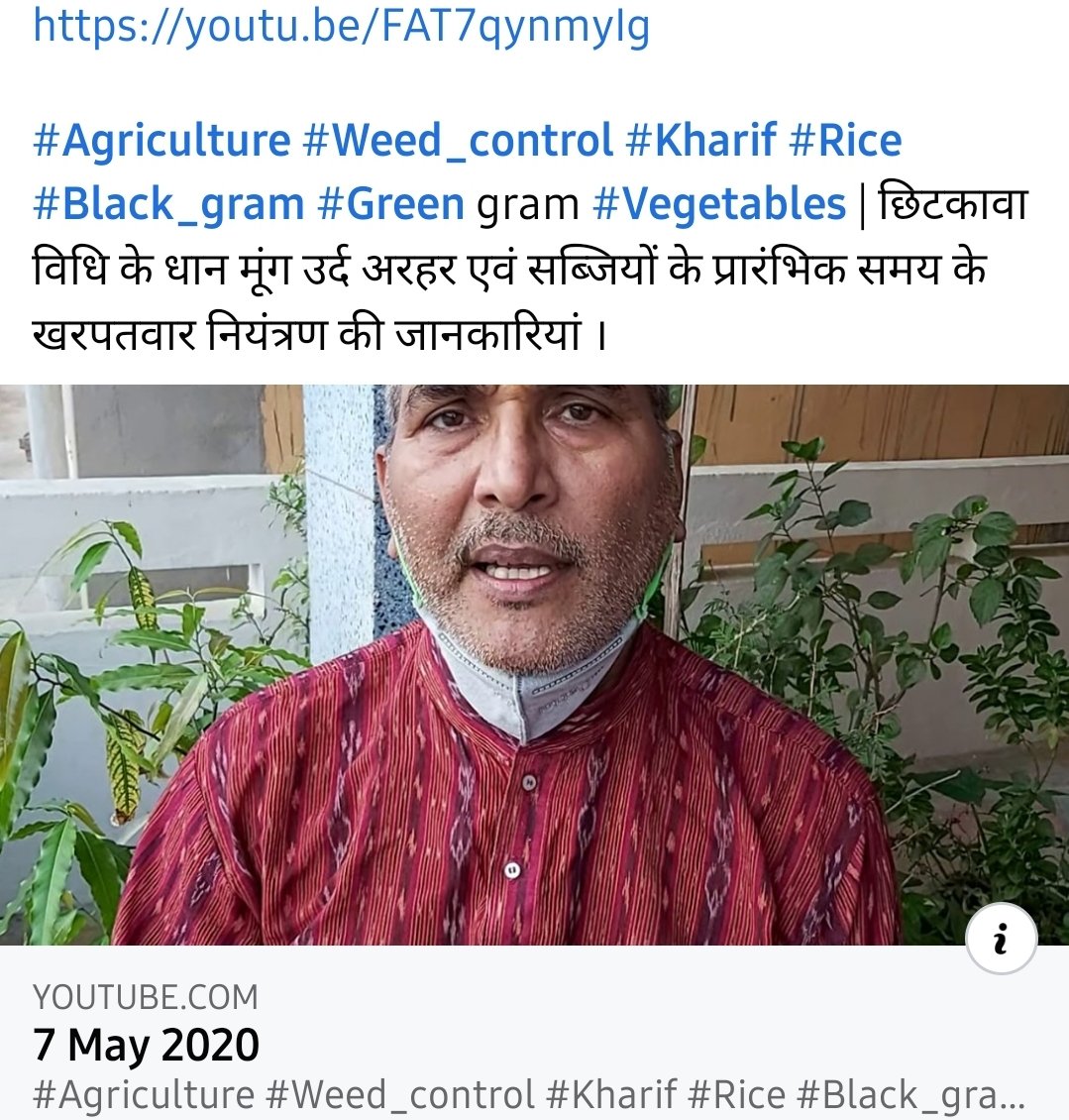 dwivedipravinkr's tweet photo. https://t.co/5Z1dFKrXBn
Head #KVK @icarindia #Bhojpur gave advisory on #Agriculture #Weed_control #Kharif #Rice #Black_gram #Green gram #Vegetables | छिटकावा विधि के धान मूंग उर्द अरहर एवं सब्जियों के प्रारंभिक समय के खरपतवार नियंत्रण की जानकारियां । https://t.co/dS4GOCJ2FD