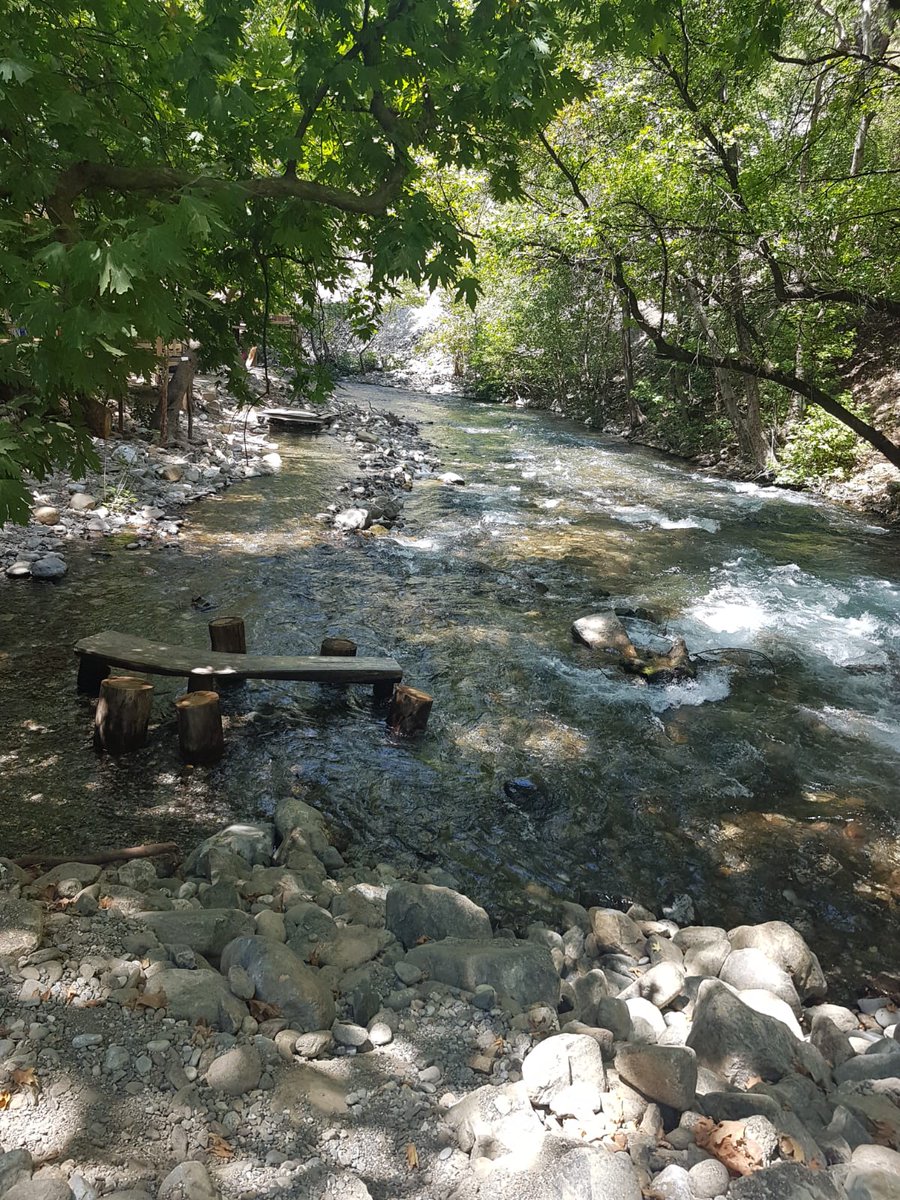 Allah'a şükür bugünde sıkıldım.şu virüs bitsin artık ormanda dolaşmayı çok özledim.