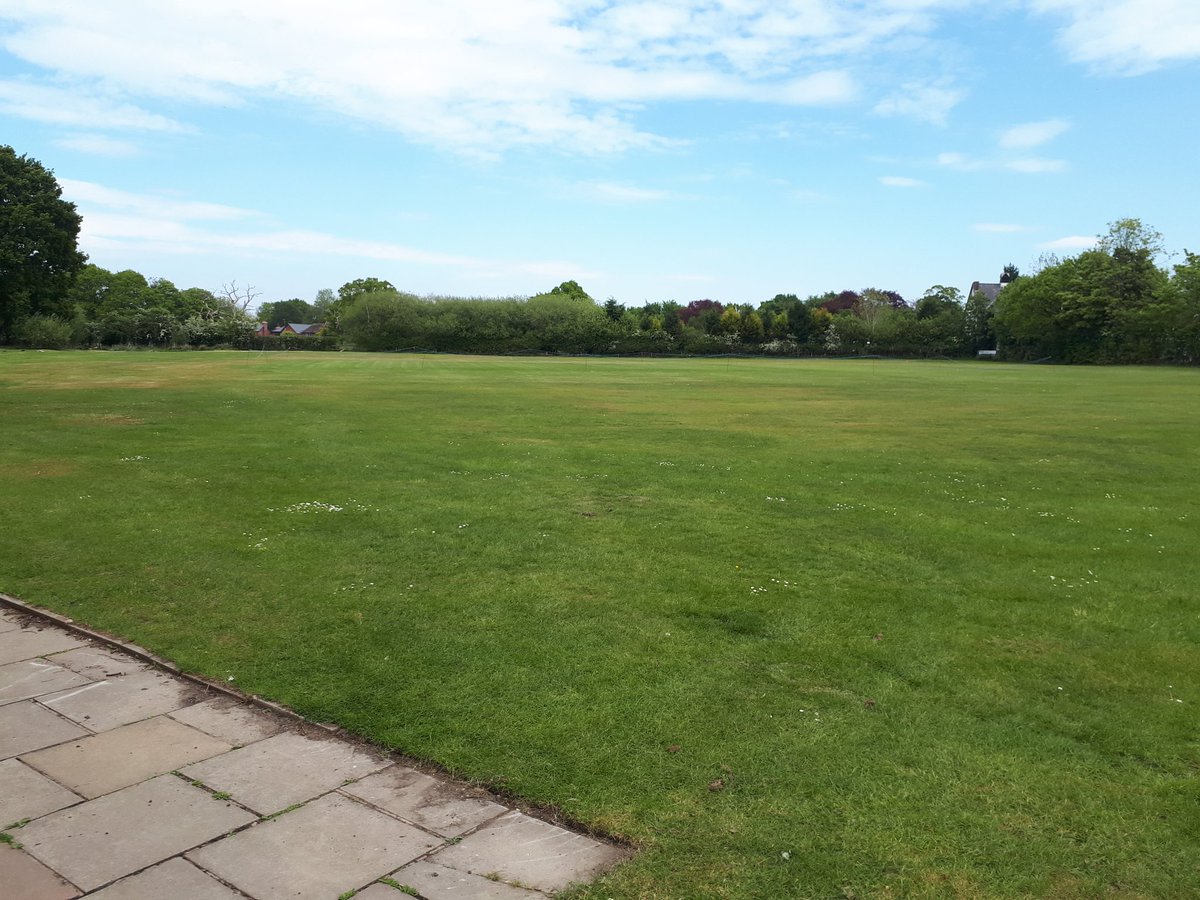 The ground looking resplendent today in the Spring sunshine!  #DoitinStyal