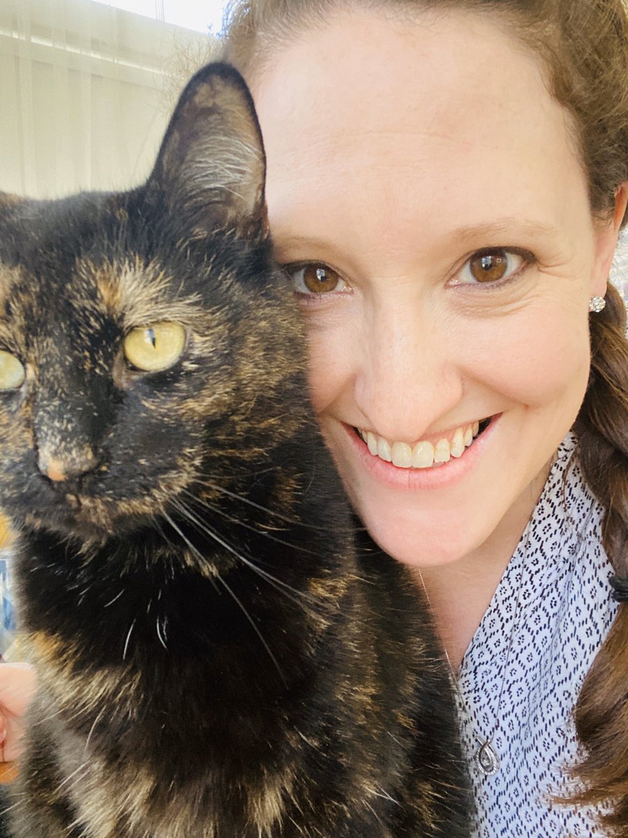 MrsSalosky's tweet photo. “Paws-atively Pet” Thursday! My fur babies Bella and Barney! 🐱 🐱 @McGuffey_MS @McGpride #McGConnected #Mc3G https://t.co/vdI03tS6g4