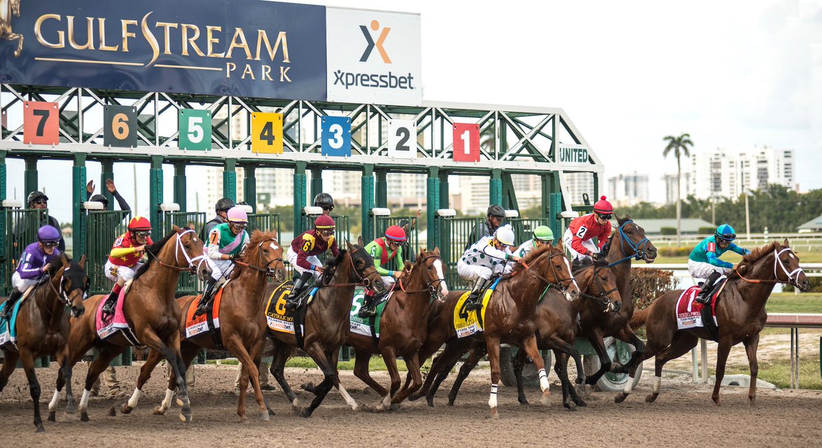 Gulfstream Park Analysis