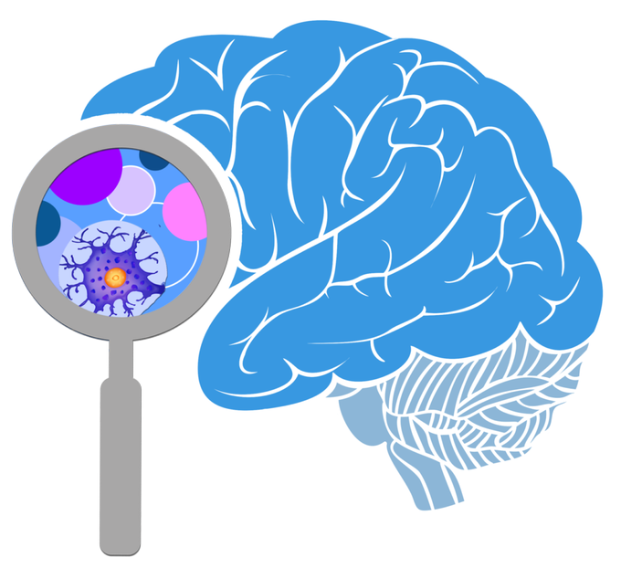 BraindisorderC's tweet photo. Please reTweet to help raise awareness that not all #dementia is Alzheimer's disease.There are 100+ different types of dementia, including #Alzheimers. Download Brochure: https://t.co/74mnZ1ZQHg
#brain #neurology #neuroscience #brain_disorders #braininjury #brain2020 #neurons https://t.co/hy7qDTVrpu