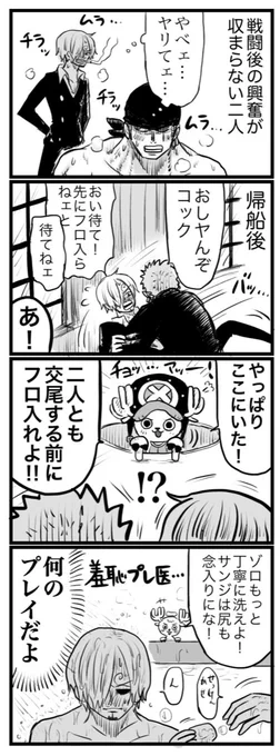 この後めちゃくちゃ興奮冷めた?️??(ゾロサン) 