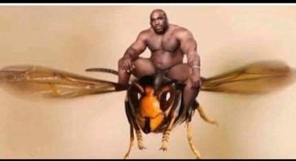Bitterchick's tweet photo. #MurderBees 
@DiamondEugene1 @aaronbergcomedy @InHotWatershow 
@CompoundAmerica 
#Subscribe https://t.co/CE9YfPRIrs