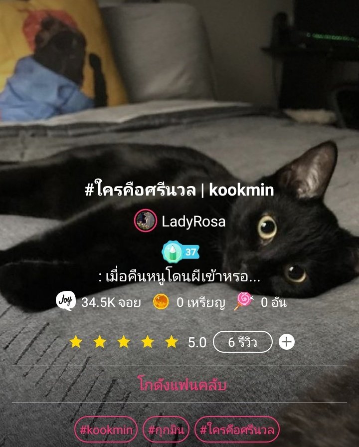 นอ นึน นาʕ•ﻌ•ʔ||| tweet media