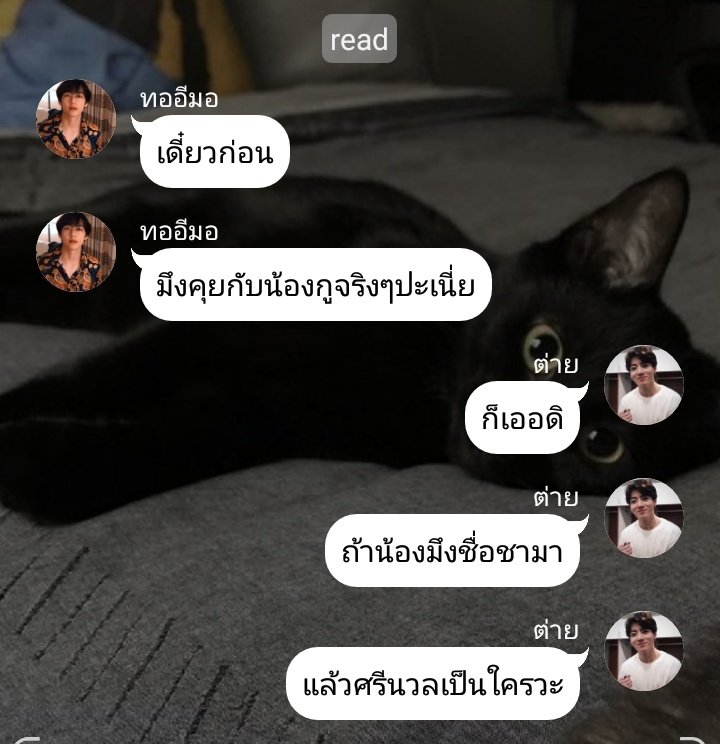 นอ นึน นาʕ•ﻌ•ʔ||| tweet media