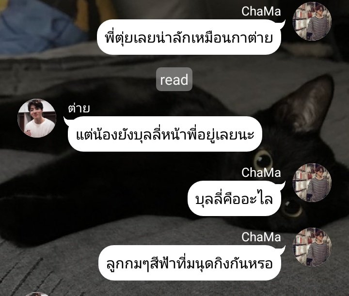 นอ นึน นาʕ•ﻌ•ʔ||| tweet media
