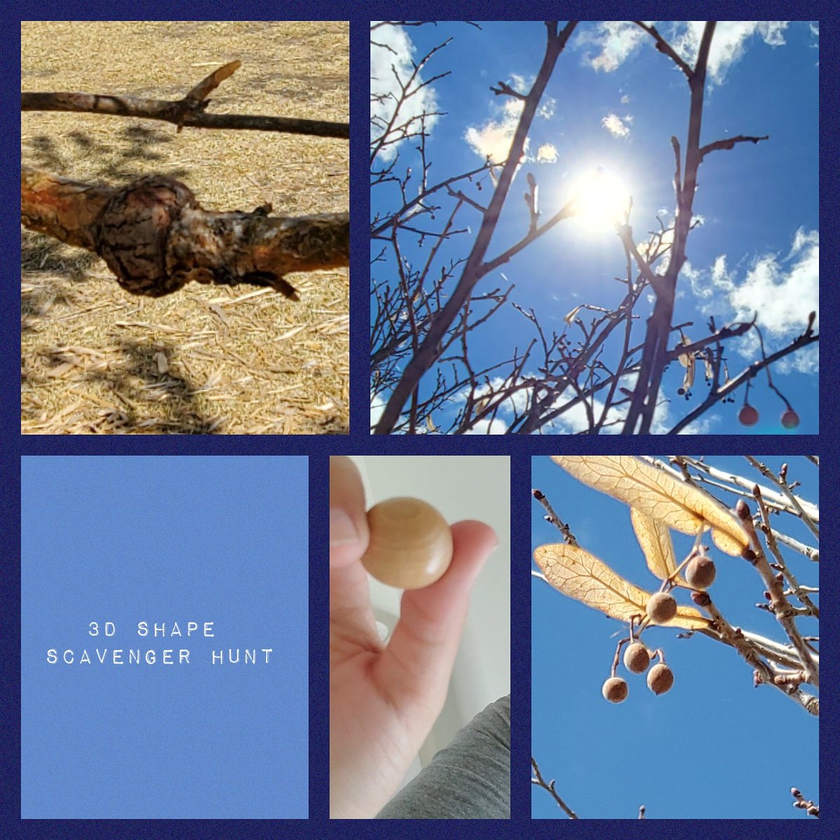 msgoran's tweet photo. I'm sending my students on a 3D scavenger hunt today. I had to take two walks to find a decent number of spheres - turns out I needed to slow down and look more closely. A good lesson for me! #supplementallearning #pssd #learningiseverywhere https://t.co/VubznQ2HAW