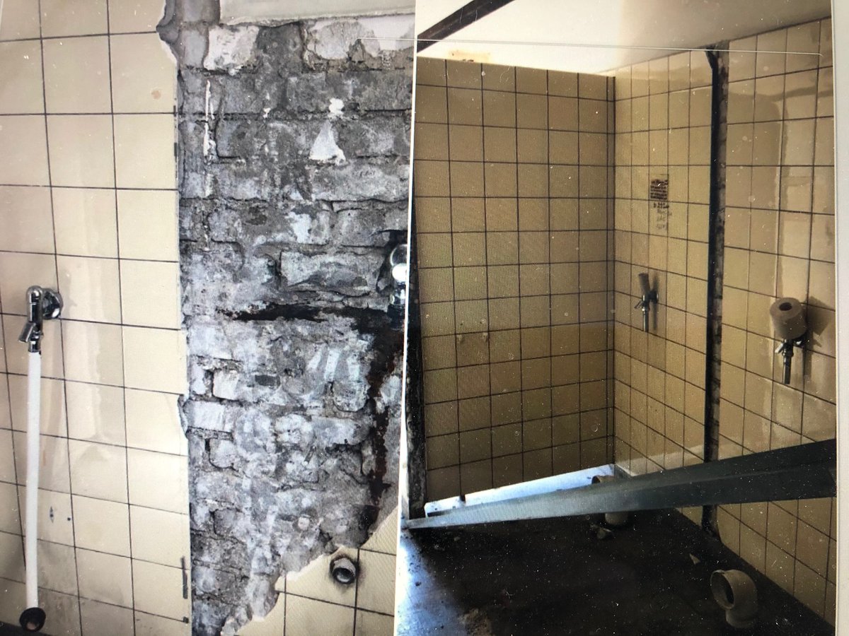 justbor's tweet photo. Safebox Self storage / Business Centers
RIPPING out the OLD and getting ready to put in the NEW.
#selfstorage #RealEstate #Investments #Germany #Businescenter #lager #Logistik #OfficeSpace
We have all available for a long or short period, call or write us with any questions. https://t.co/HrikyabQ8b