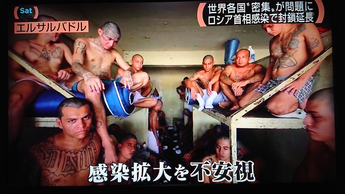 Twitter 上的 Niziri 刑務所内から殺人事件を指示したことにより 見せしめとして 三密 にさせられるエルサルバドルの受刑者たち ゲームの画面にしか見えない T Co Uzllu24b3l Twitter Twitter 上的 Niziri 刑務所内から殺人事件を指示したことにより 見せしめとして 三密 にさせられるエルサルバドルの受刑者たち ゲームの画面にしか見えない T Co Uzllu24b3l Twitter