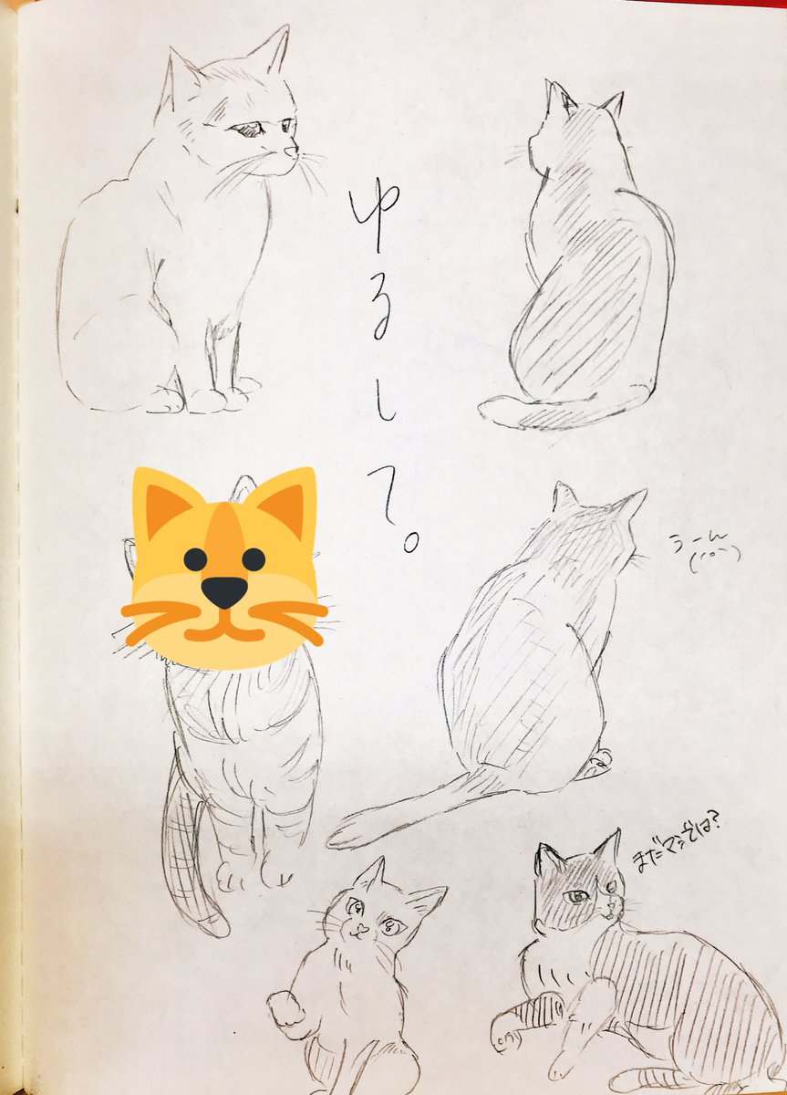 手とかtwst目とか?とか小物とか練習
ネコは初めてちゃんと描いたから…!ねこ好きの方おおらかな気持ちで見てくれい…? 