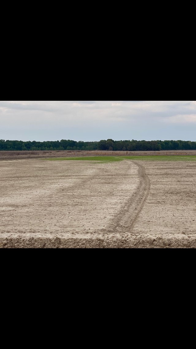 luv2shoot36's tweet photo. Be sure to scout your wheat for head clipping and your rice fields for Armyworms. Check the MP-144 for control options. #ArmyWorms #RiceOn #SavetheHead https://t.co/nAOkuU2nfm
