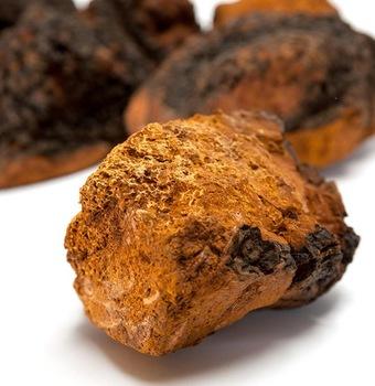 teaveliwellness's tweet photo. #FillInTheBlank : Chaga mushrooms contain many antioxidants that may reduce _________ . 
Comment below what you think and we will tell you tomorrow!
.
.
. 
#Teaveli #Organic #Vegan #Superfoods #HealingHerbs #HealthandWellness #HealthyLifestyle #Health https://t.co/WHmSvUjoBj