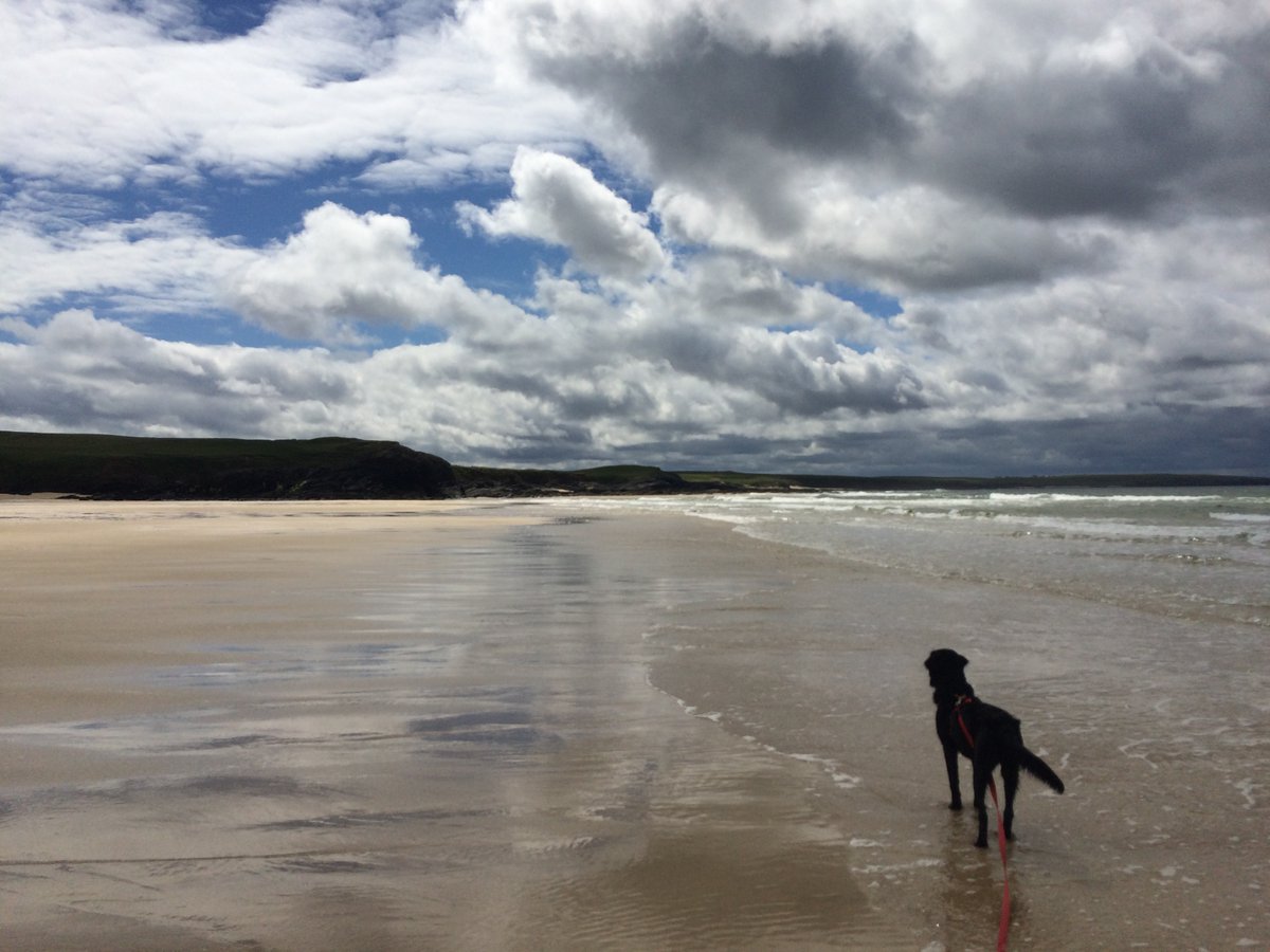 HI_Voices's tweet photo. The Isle of Lewis known for its miles and miles of pristine beaches, standing stones and black pudding :-) https://t.co/14gg9tAiea
