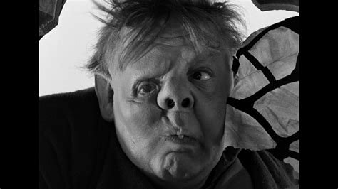 DTrumpwise tweet picture
