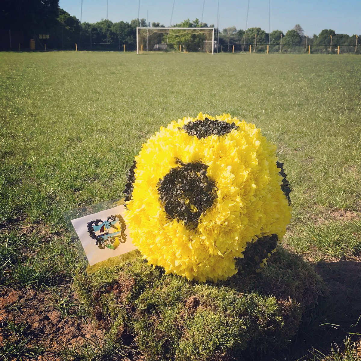 Dash4Dave's tweet photo. 💛 https://t.co/93Ik1VchaS