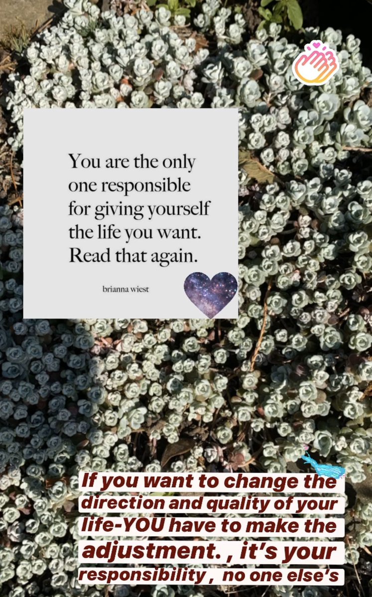 SaffinaEllahi1's tweet image. Have wonderful day☺️

#thursdayvibes 
#lockdownthoughts