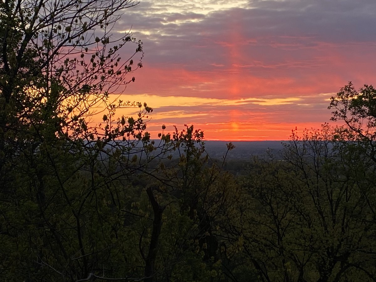 David Blackburn tweet media