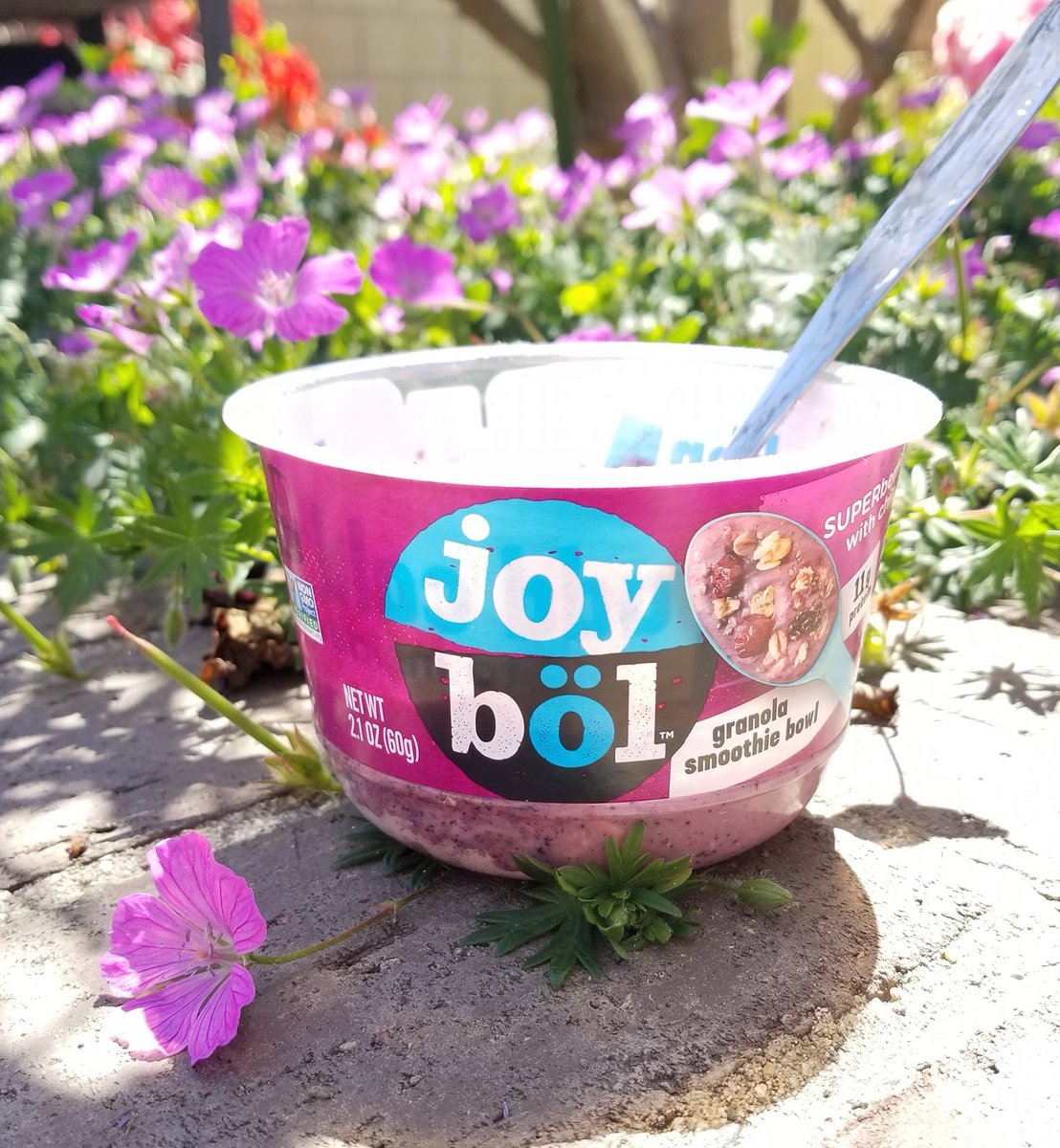 HorsingAroundLA's tweet photo. ad🌺Taking a joy break with @joybol_official.🍒🌈😀 How do you take a moment for yourself each day? I've been enjoying some sunshine & these delicious granola smoothie bowls-– just add cold water or milk, stir well & GO!
#myjoybreak #bringthejoy #joybol #momselect #socialspotters https://t.co/lqPqkwAE3t