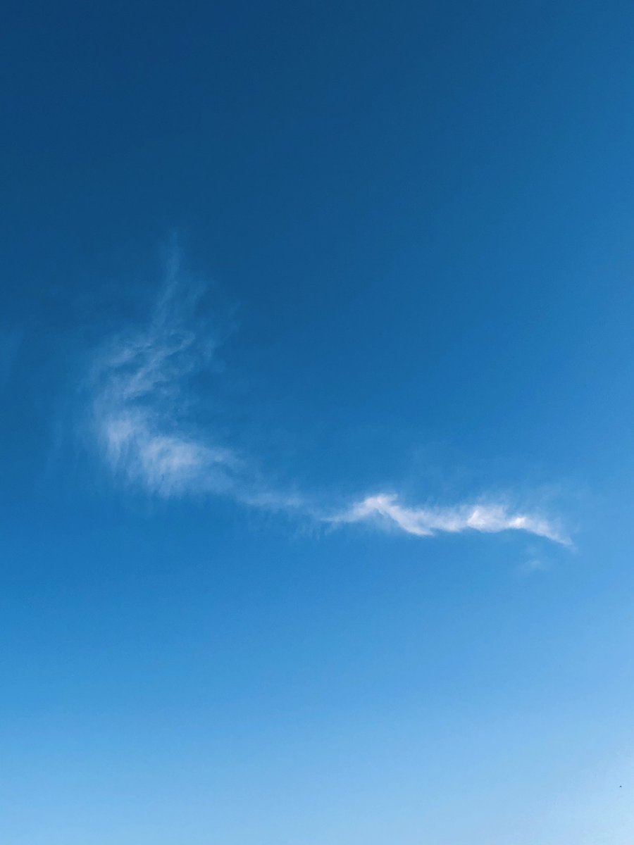 桜井ういよ୨୧ 𝕦𝕚𝕪𝕠 𝕤𝕒𝕜𝕦𝕣𝕒𝕚 Ar Twitter 先ほどの竜の形の雲は 龍神雲 龍雲 と呼ばれるそうで 竜神様の御加護に預かることができる 幸運が舞い込む吉兆のひとつなんですって 待ち受けにするといいのだとか ということで縦長バージョンも貼り付け