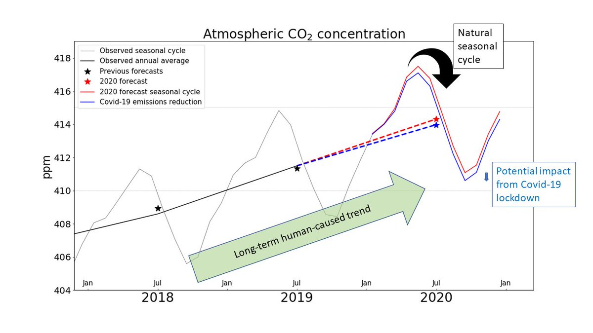 Working with the <a href="/Keeling_curve/">Keeling_Curve</a> team we've revised our forecast of this year's CO2 rise to account for the reduction in emissions following the Covid-19 pandemic

The annual rise will be slightly slower than otherwise expected: 2.48ppm rather than 2.80ppm

carbonbrief.org/analysis-what-…